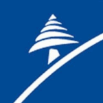 6345357XO3363X_X7219_